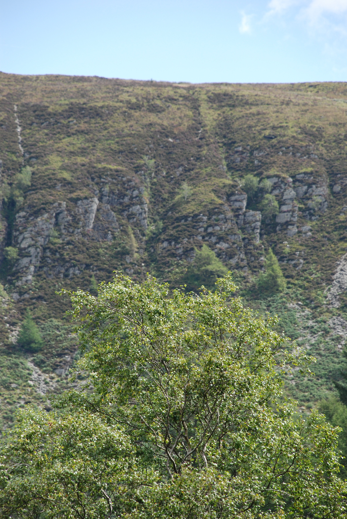 Wales2